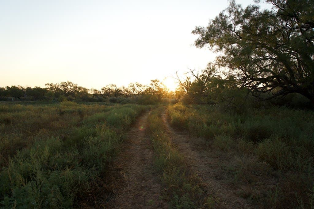 125.42 acres in McCulloch County gallery image 2
