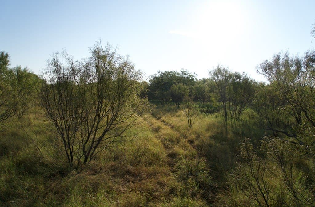 125.42 acres in McCulloch County - photo 35
