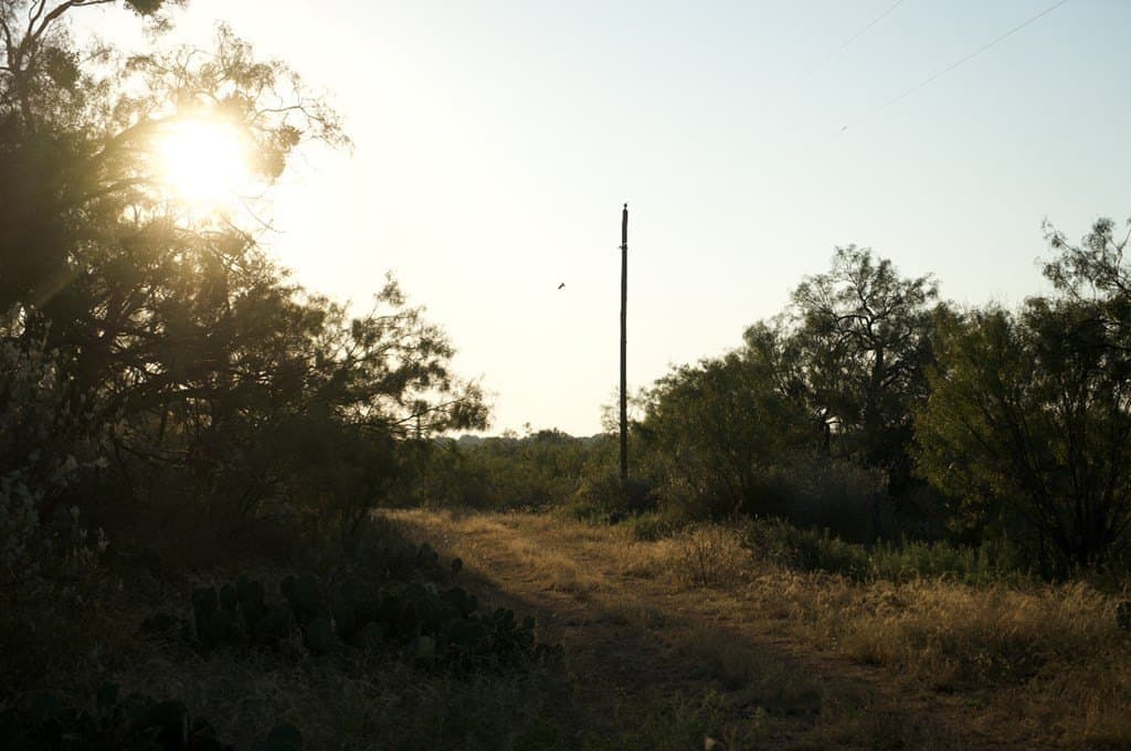 125.42 acres in McCulloch County - photo 18