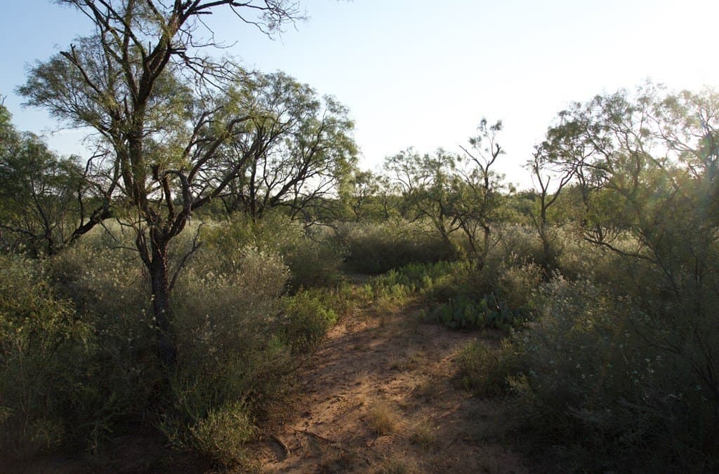 125.42 acres in McCulloch County - photo 25