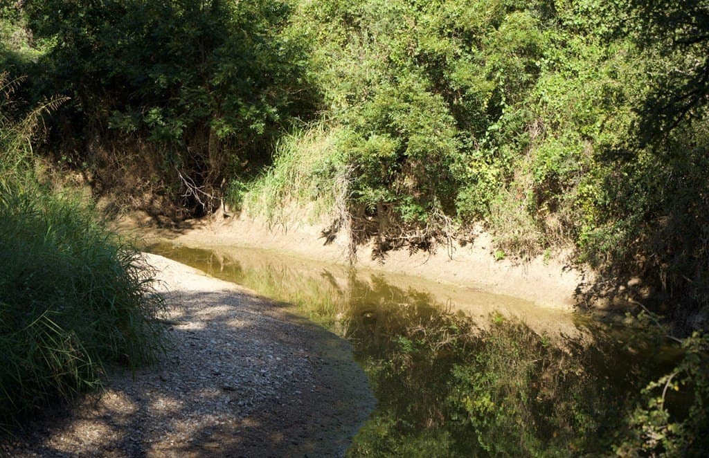 125.42 acres in McCulloch County - photo 55