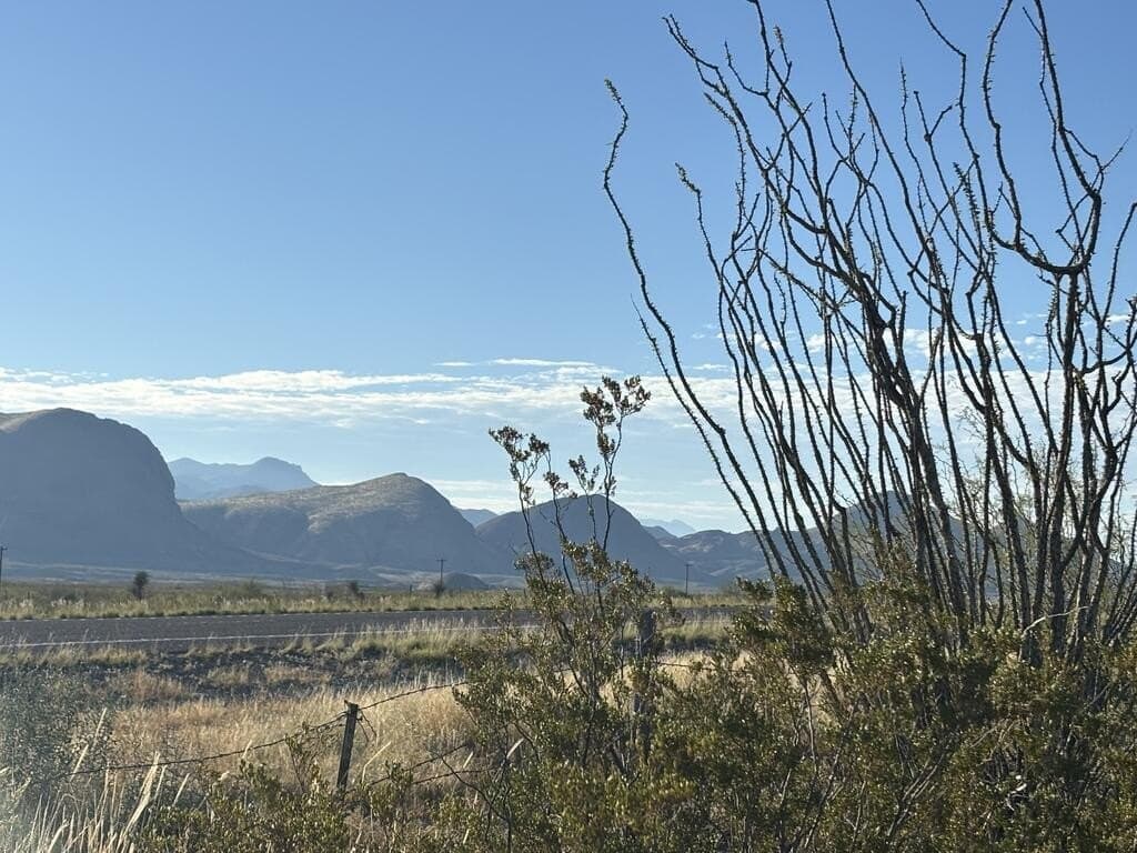 160.57 acres in Brewster County - photo 6
