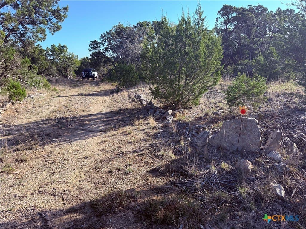 10 acres in Hays County - photo 6