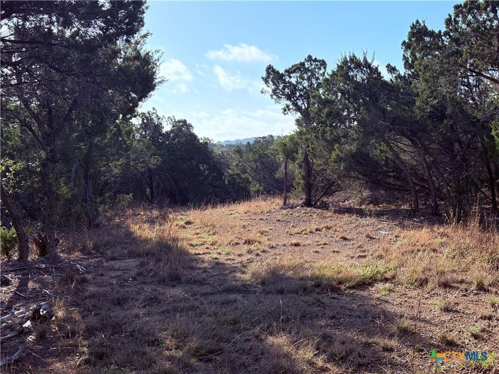 10 acres in Hays County gallery image 4