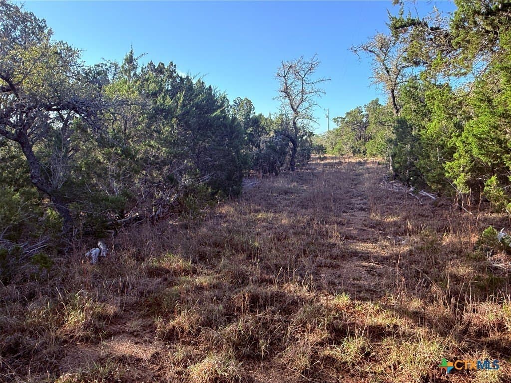 10 acres in Hays County - photo 9