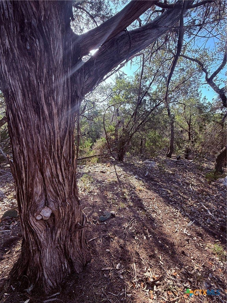 10 acres in Hays County featured view