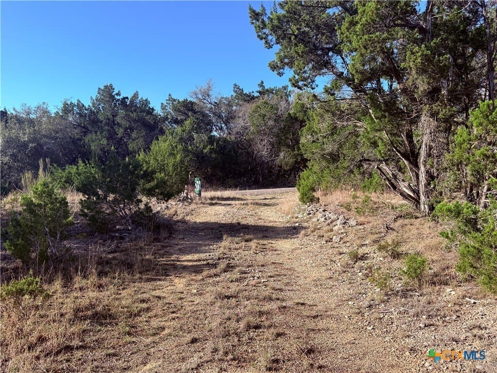 10 acres in Hays County gallery image 2