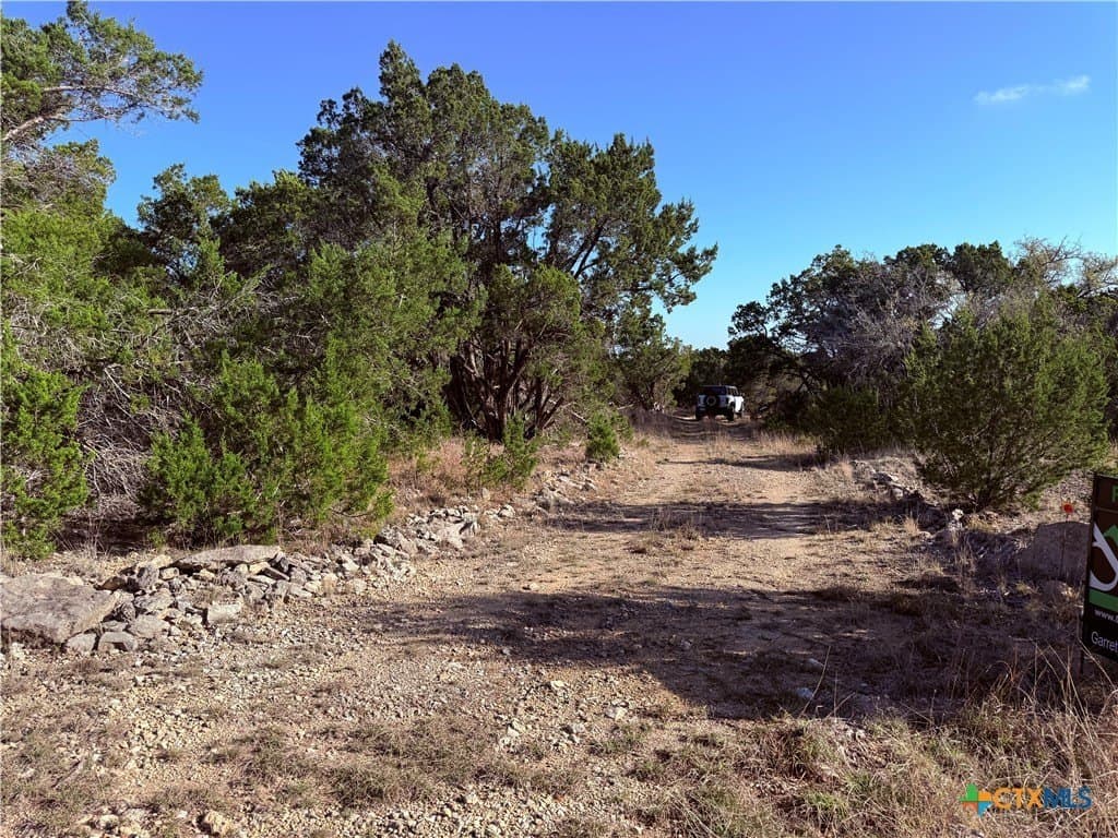 10 acres in Hays County - photo 7