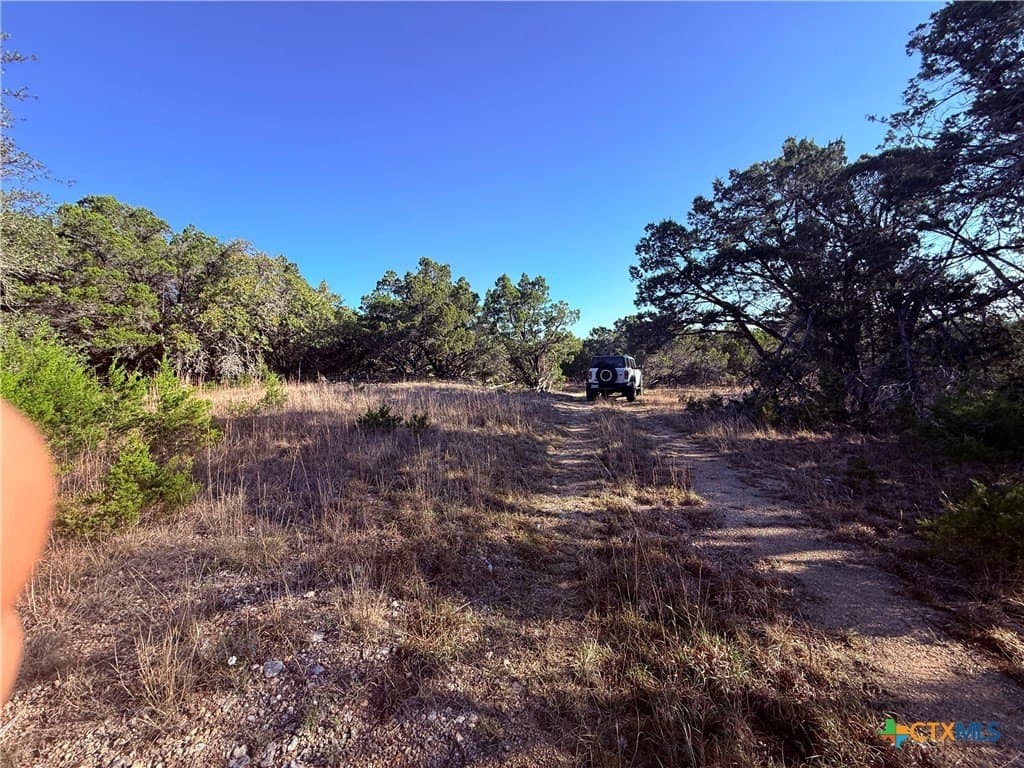 10 acres in Hays County gallery image 3