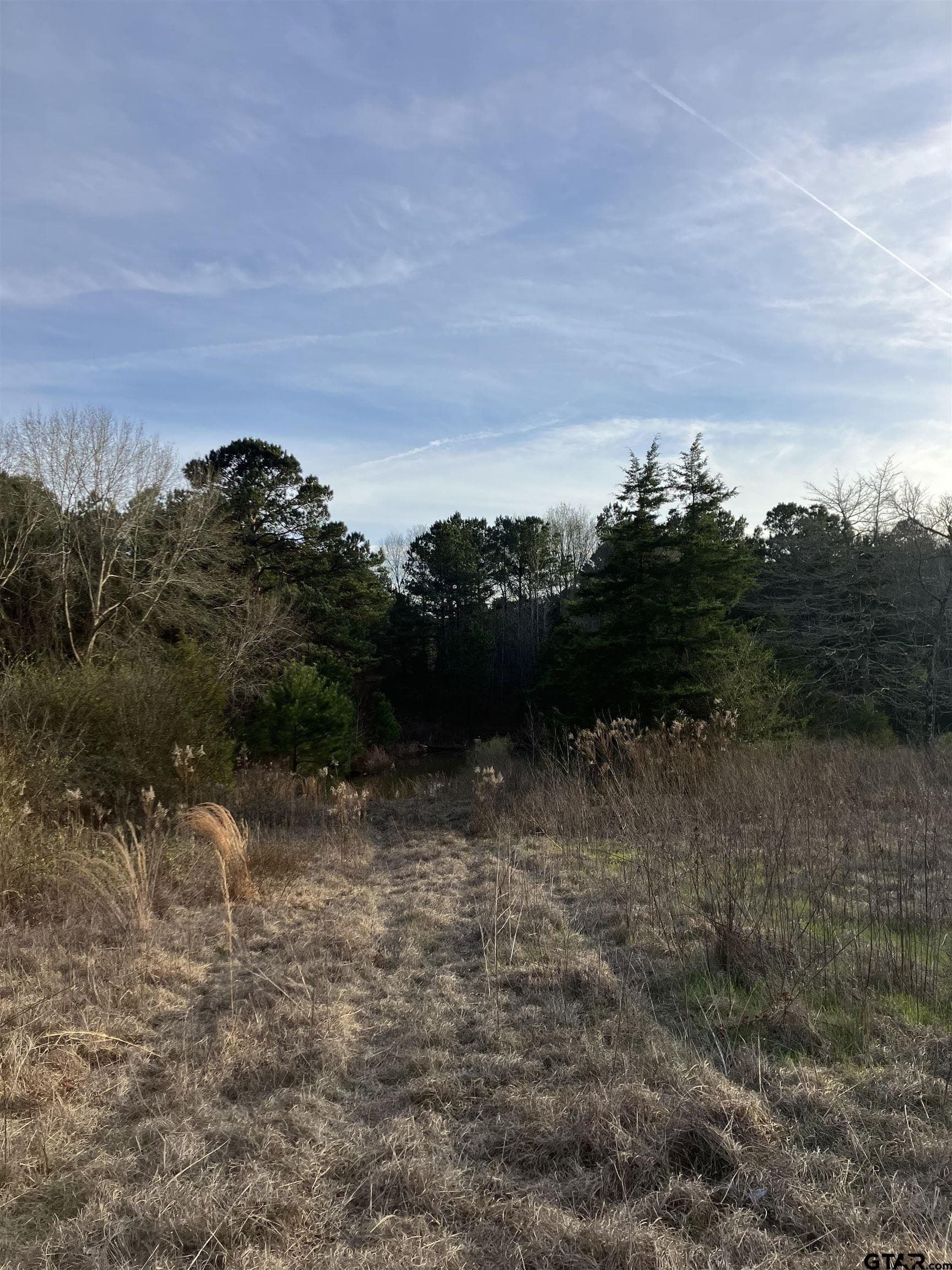 10.68 acres in Cherokee County gallery image 4