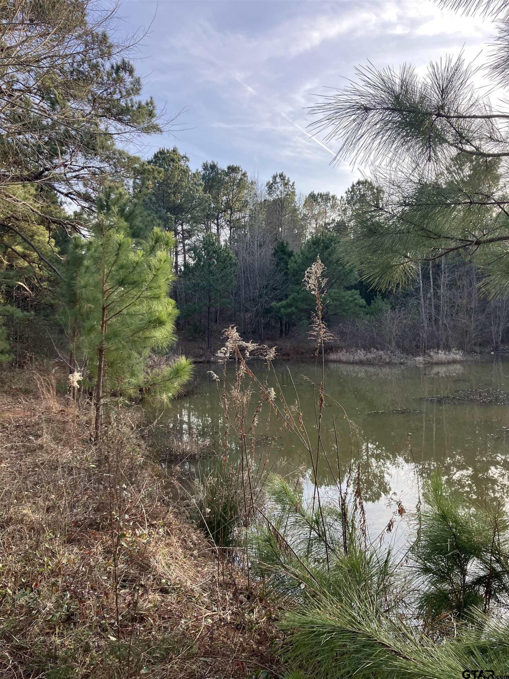 10.68 acres in Cherokee County - photo 6