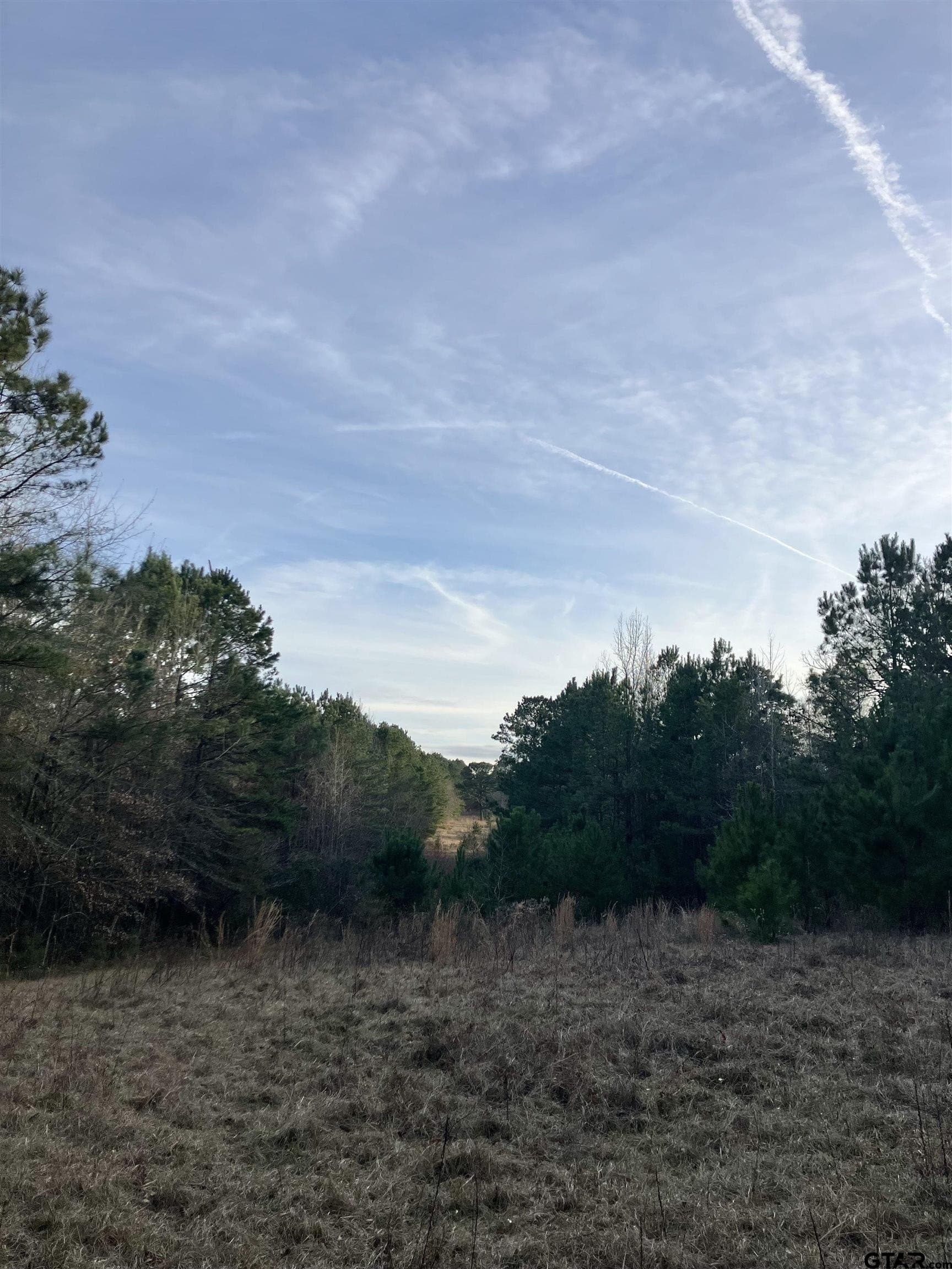 10.68 acres in Cherokee County - photo 8