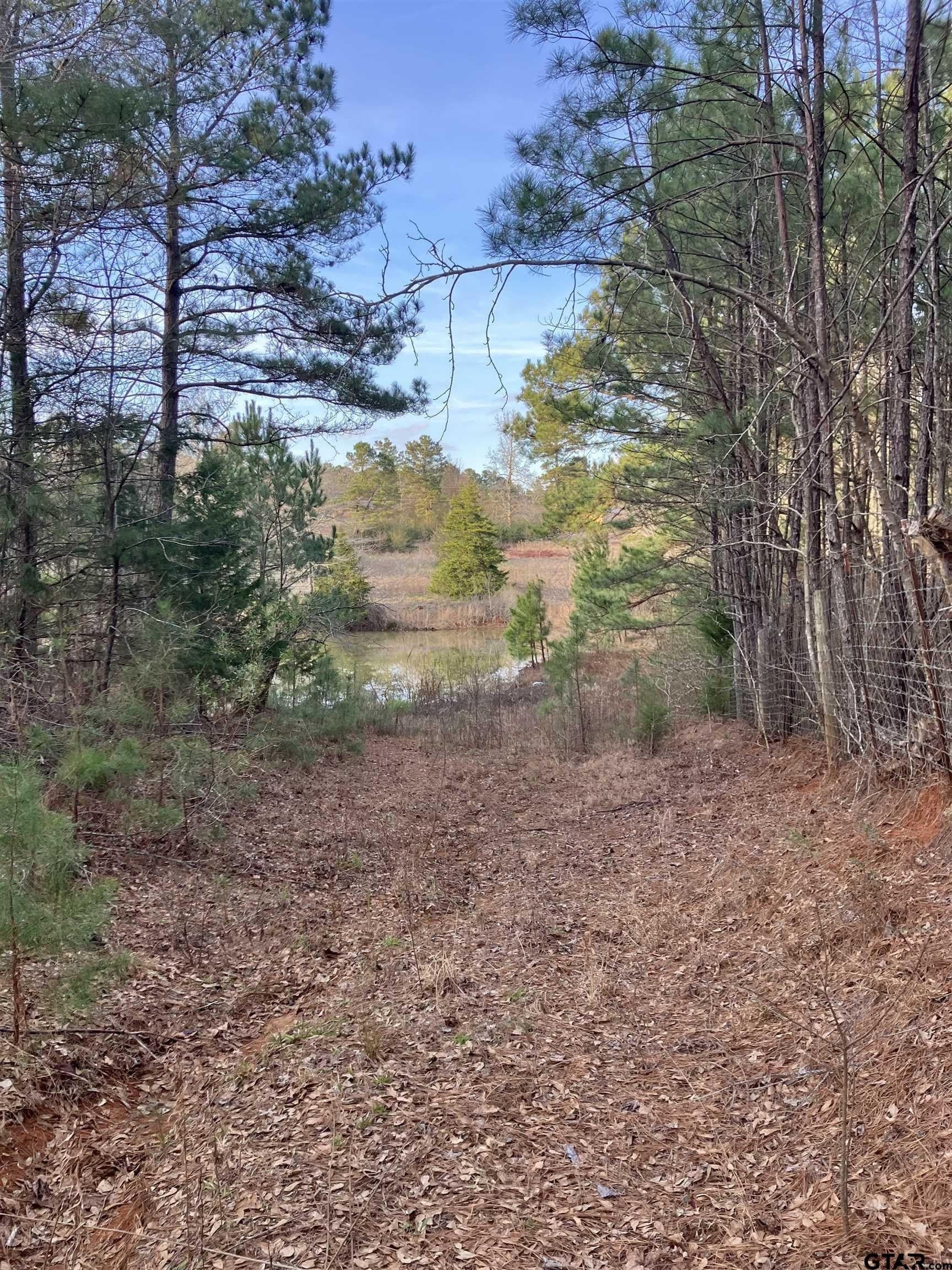 10.68 acres in Cherokee County - photo 7