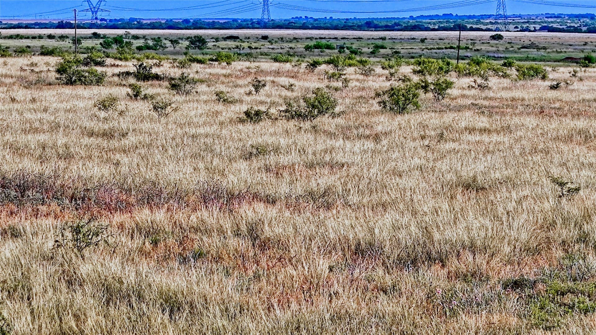 339 acres in Clay County - photo 4