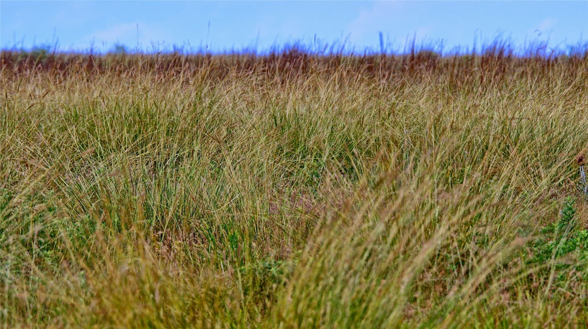 339 acres in Clay County - photo 11