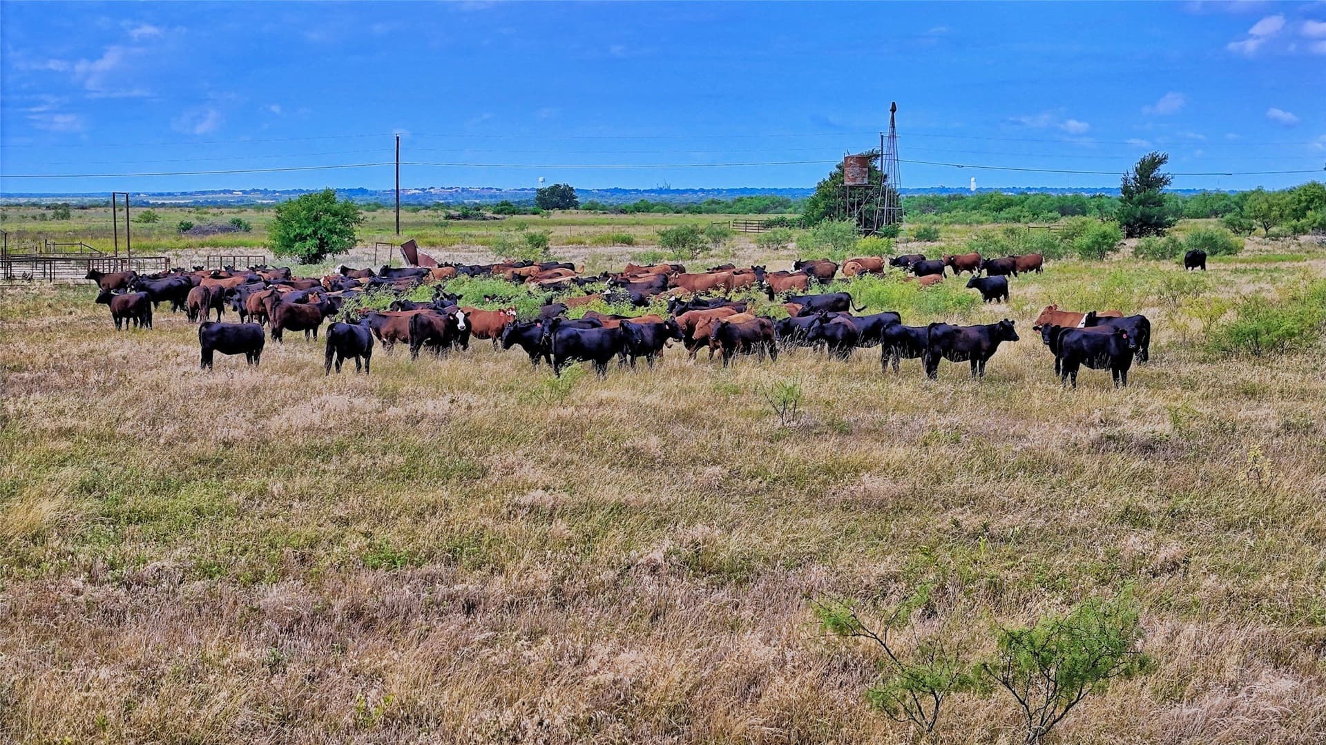 339 acres in Clay County - photo 22