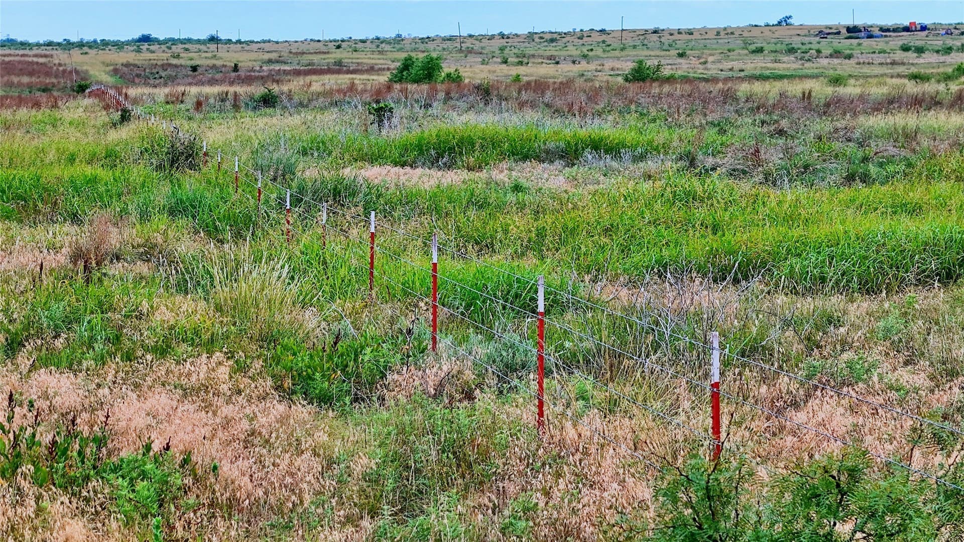 339 acres in Clay County - photo 26