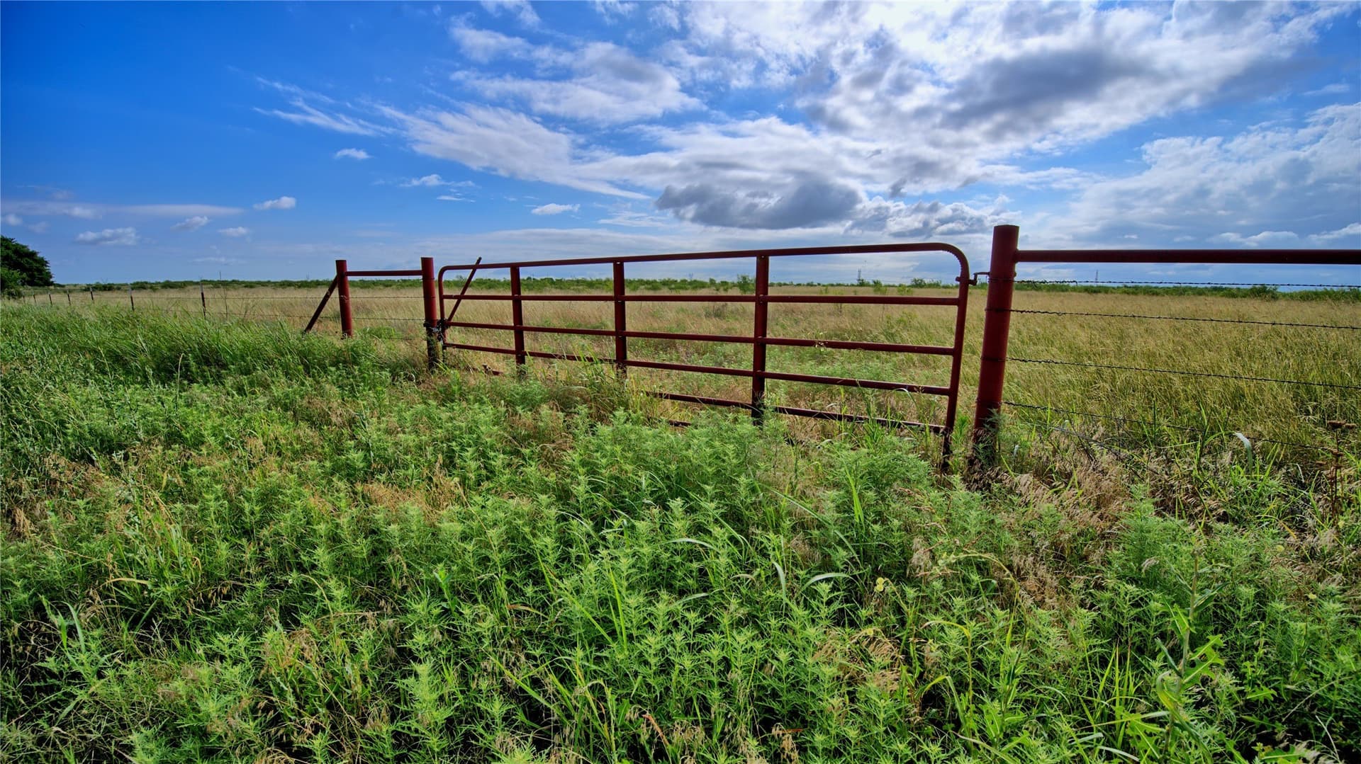 339 acres in Clay County - photo 35