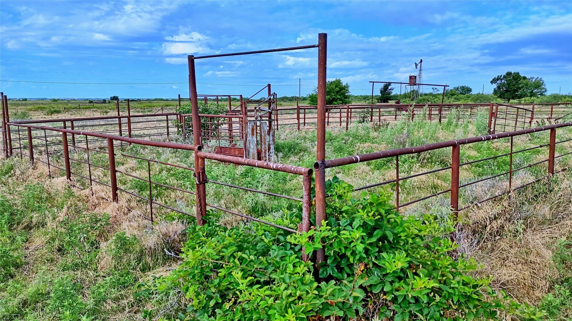 339 acres in Clay County - photo 20