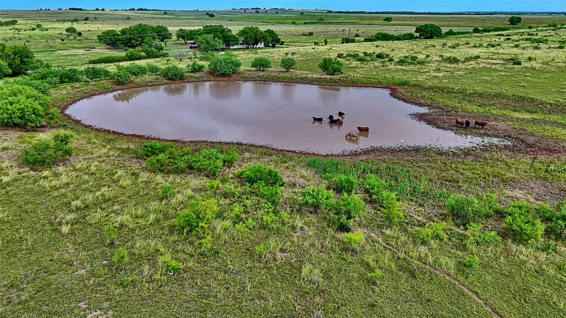 339 acres in Clay County - photo 18