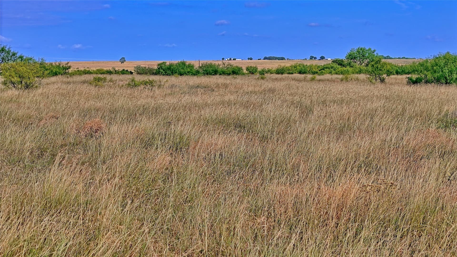 339 acres in Clay County - photo 3