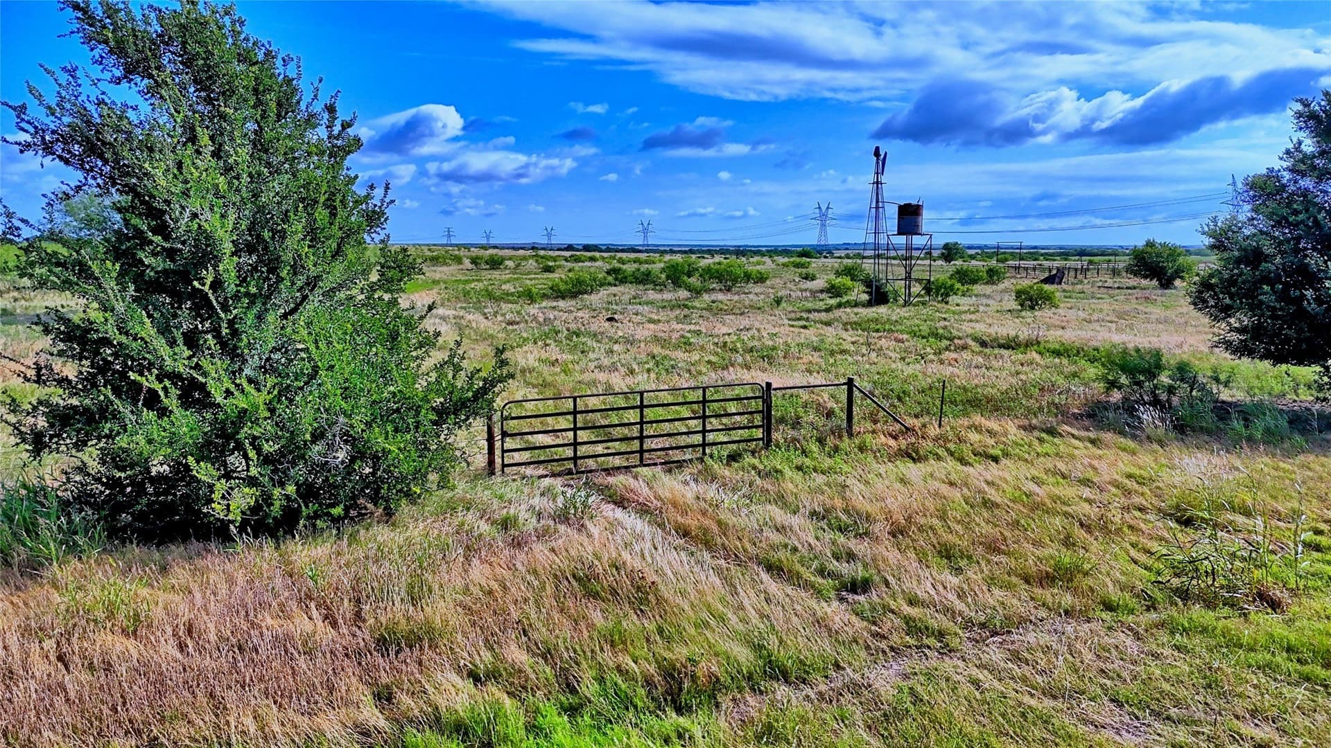 339 acres in Clay County - photo 6