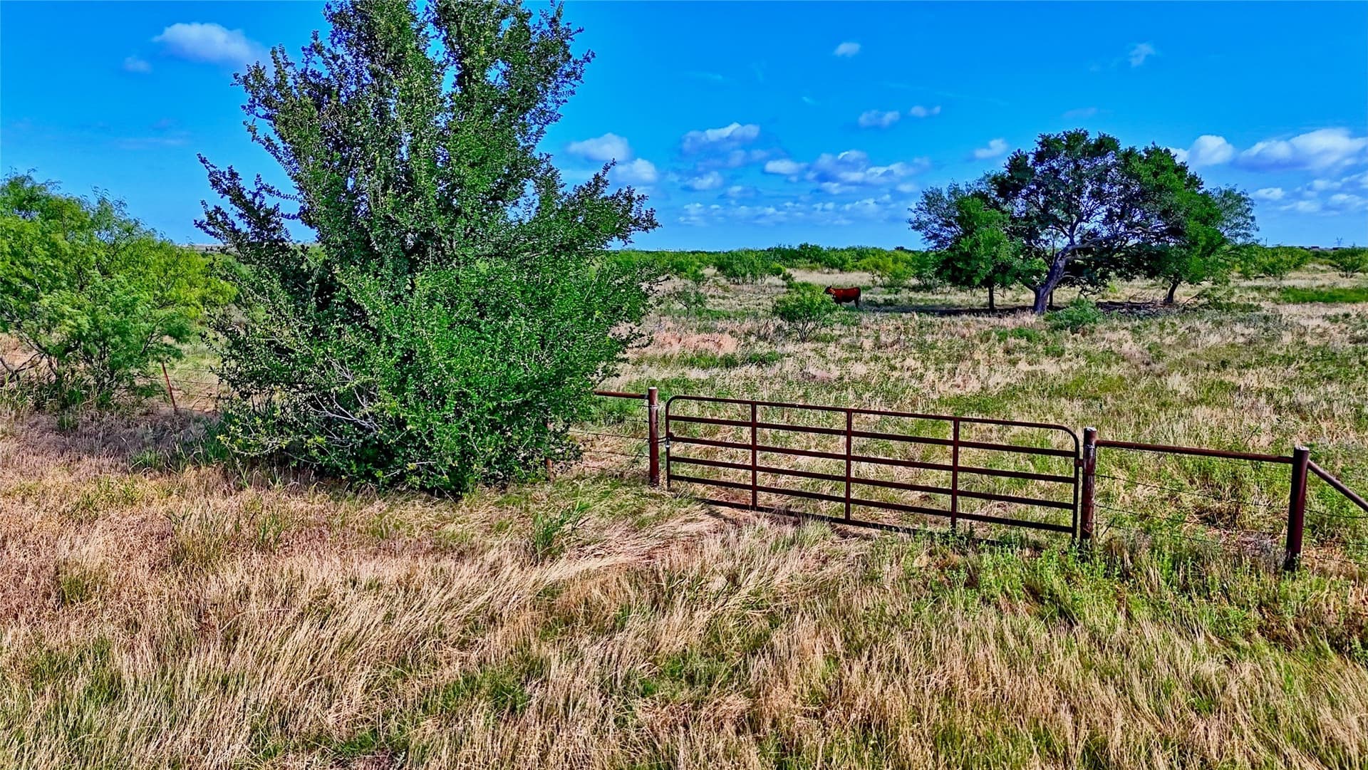 339 acres in Clay County - photo 8