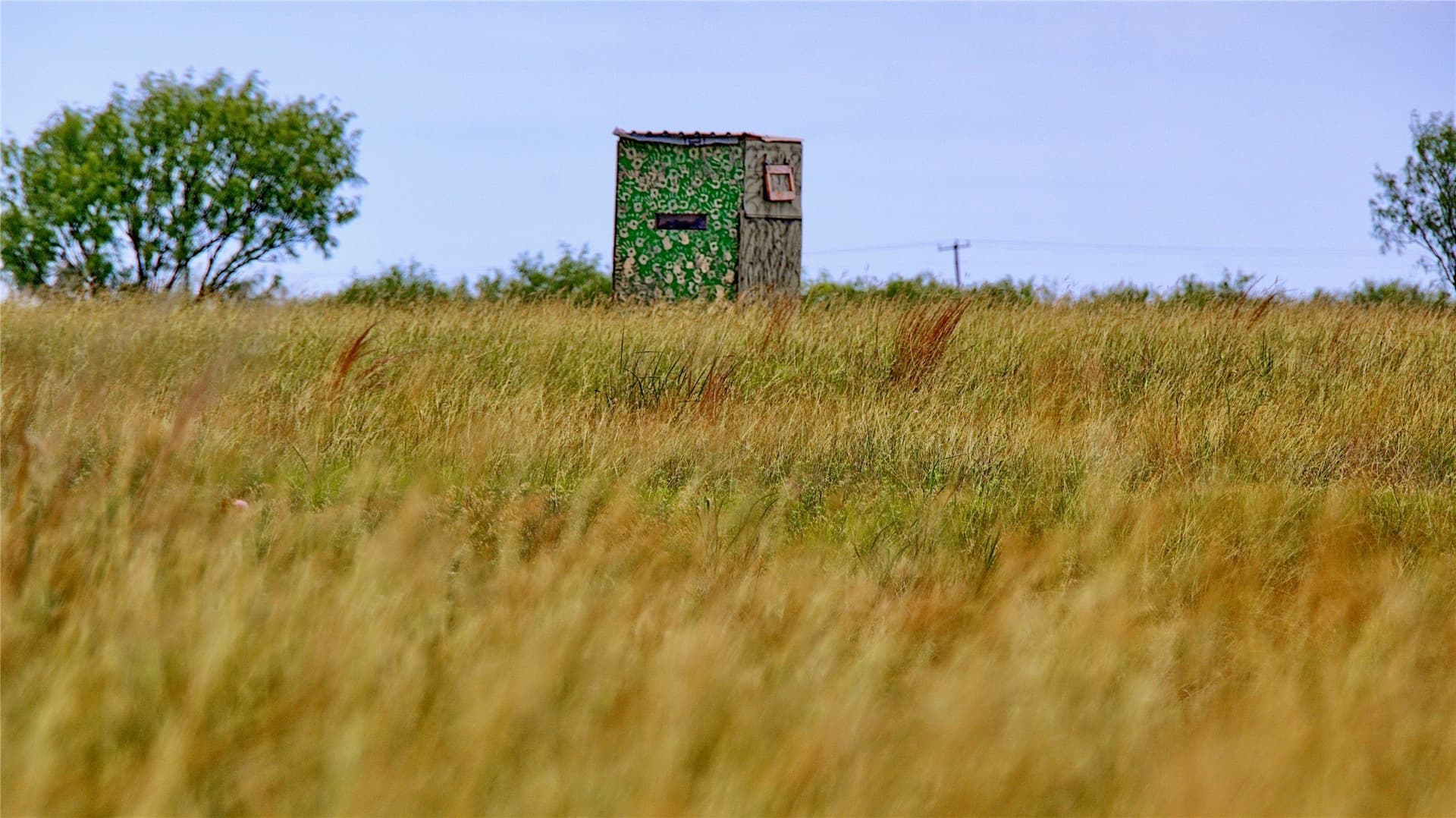 339 acres in Clay County - photo 10
