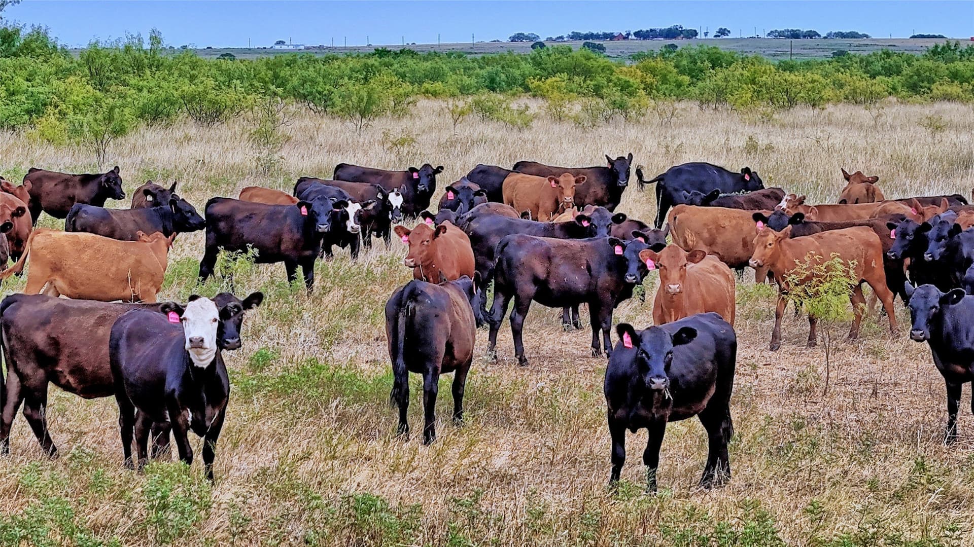 339 acres in Clay County - photo 23