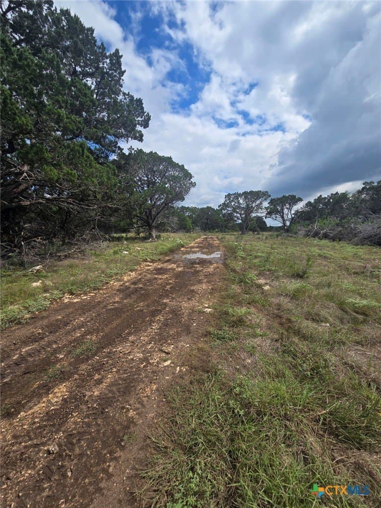 25 acres in Burnet County - photo 20