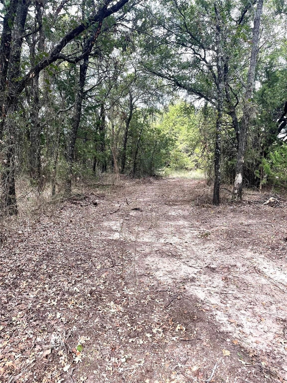 28.45 acres in Montague County - photo 3
