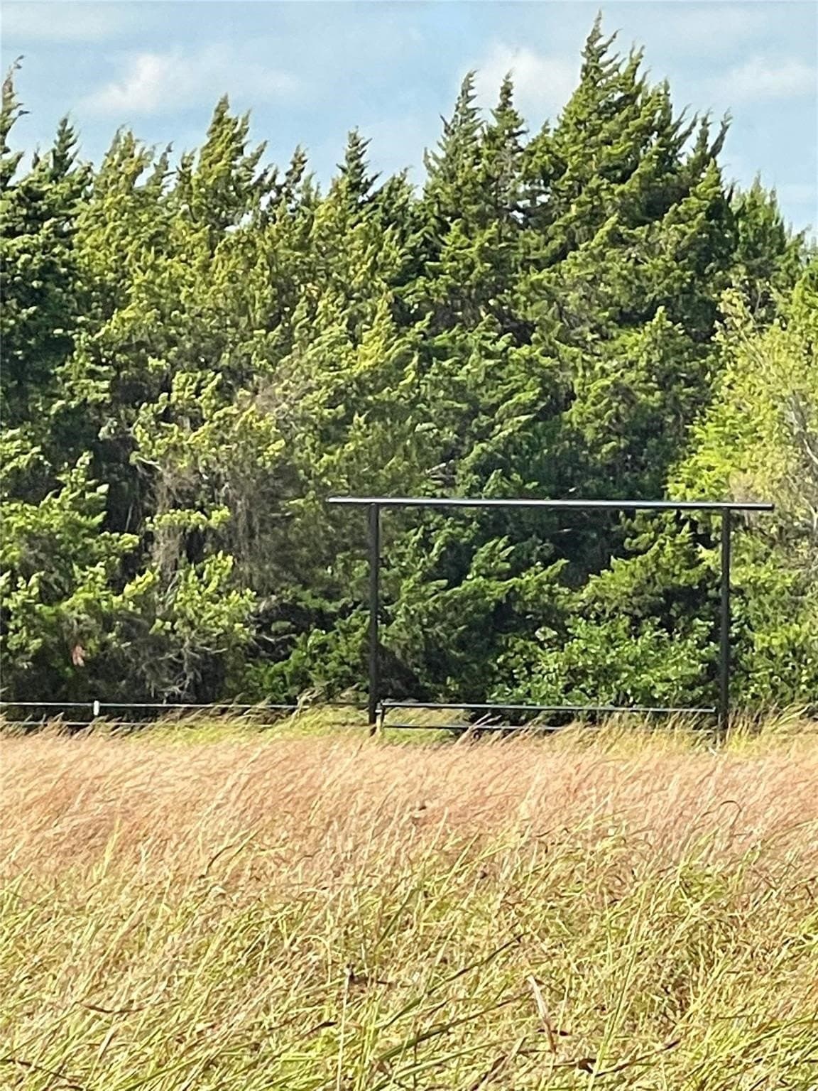 28.45 acres in Montague County - photo 4