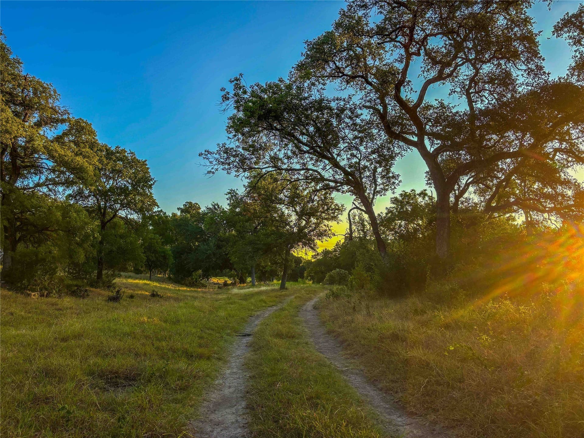 65.88 acres in Bell County - photo 17