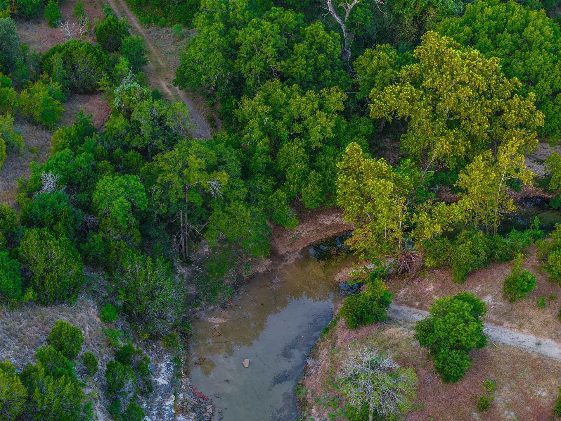 65.88 acres in Bell County - photo 13
