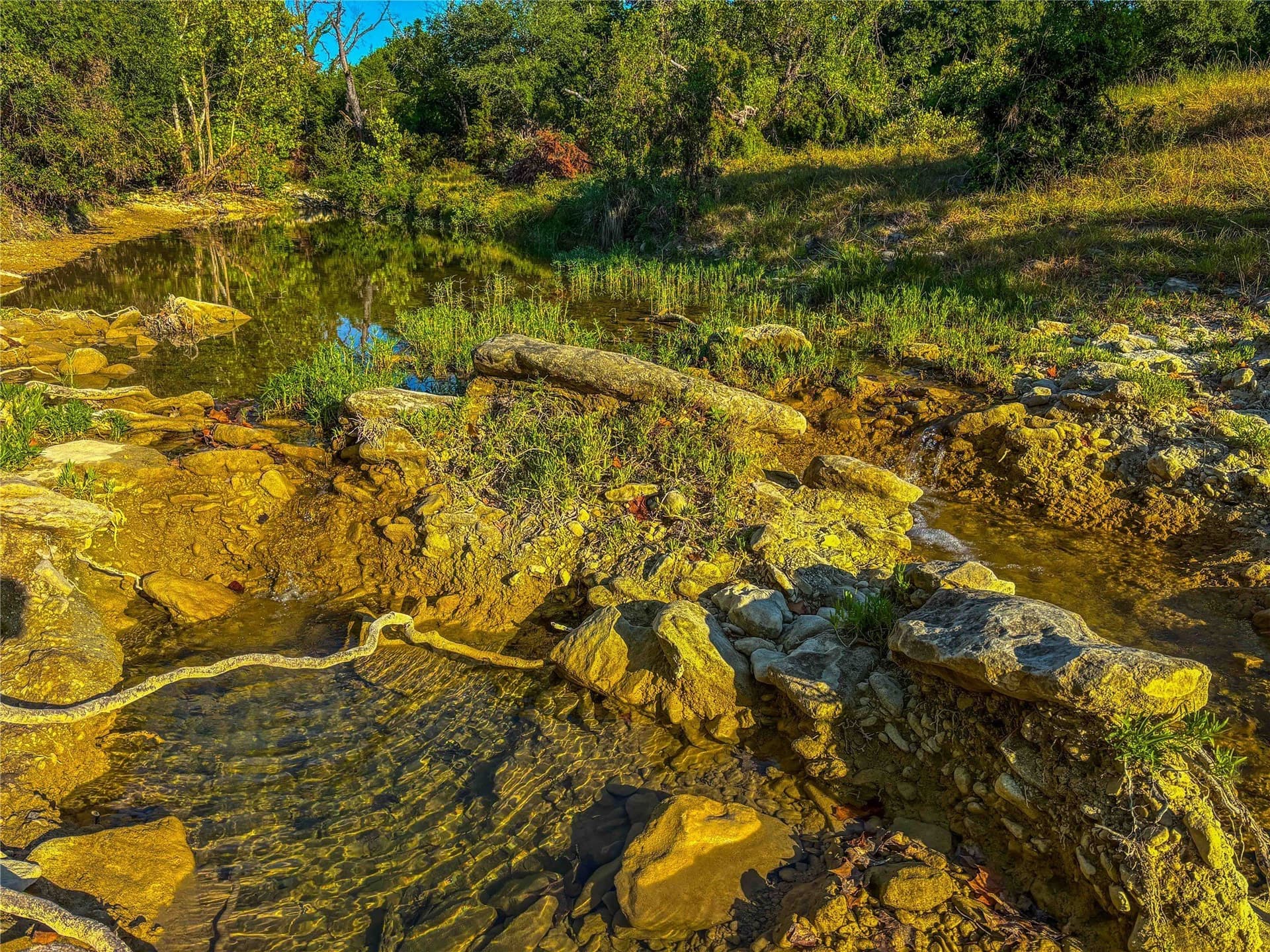 65.88 acres in Bell County - photo 29