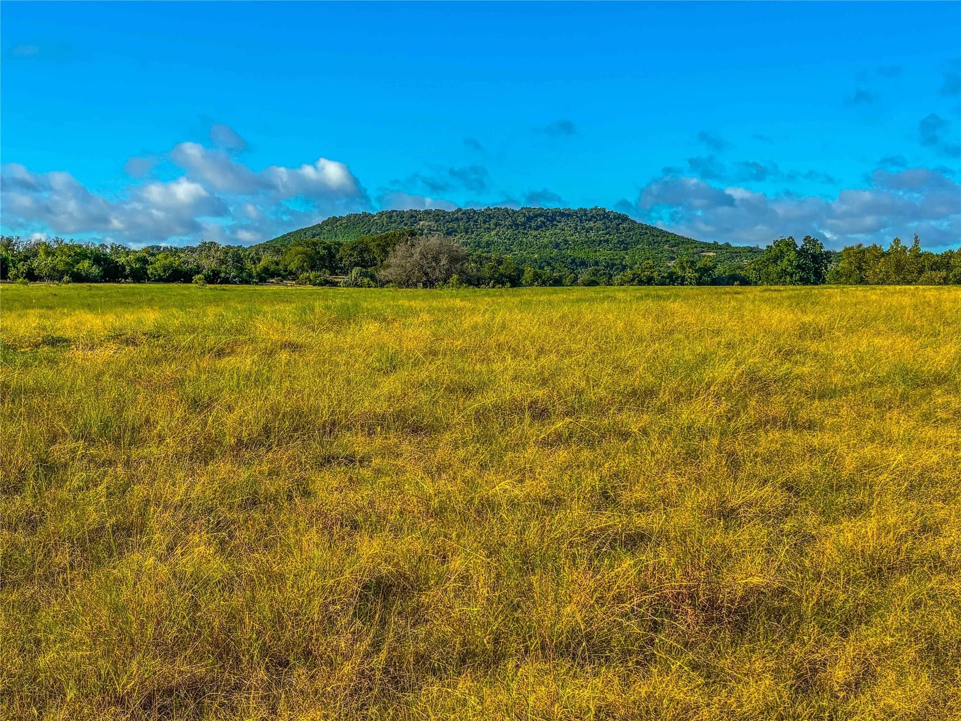 65.88 acres in Bell County - photo 6