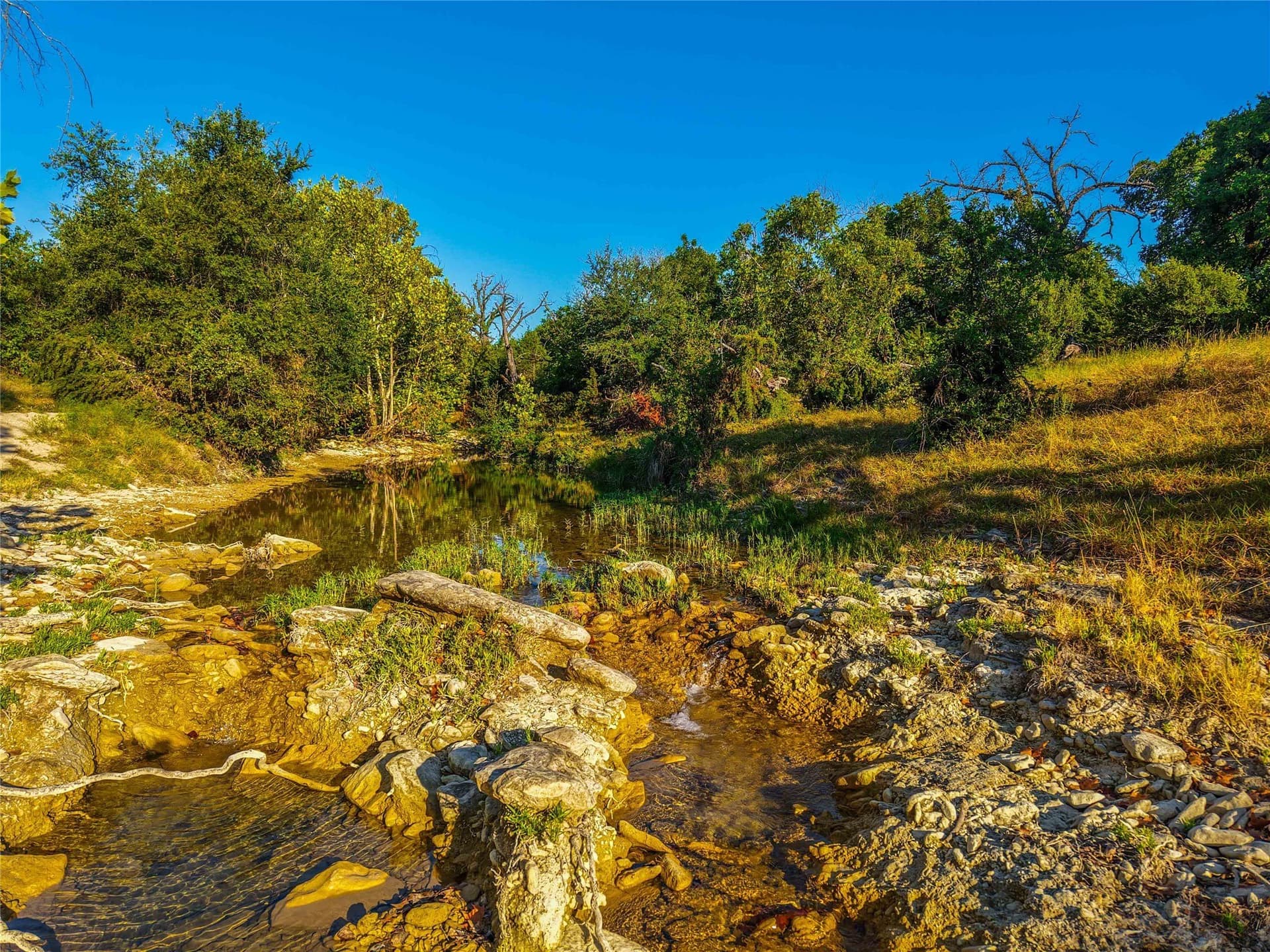 65.88 acres in Bell County - photo 27