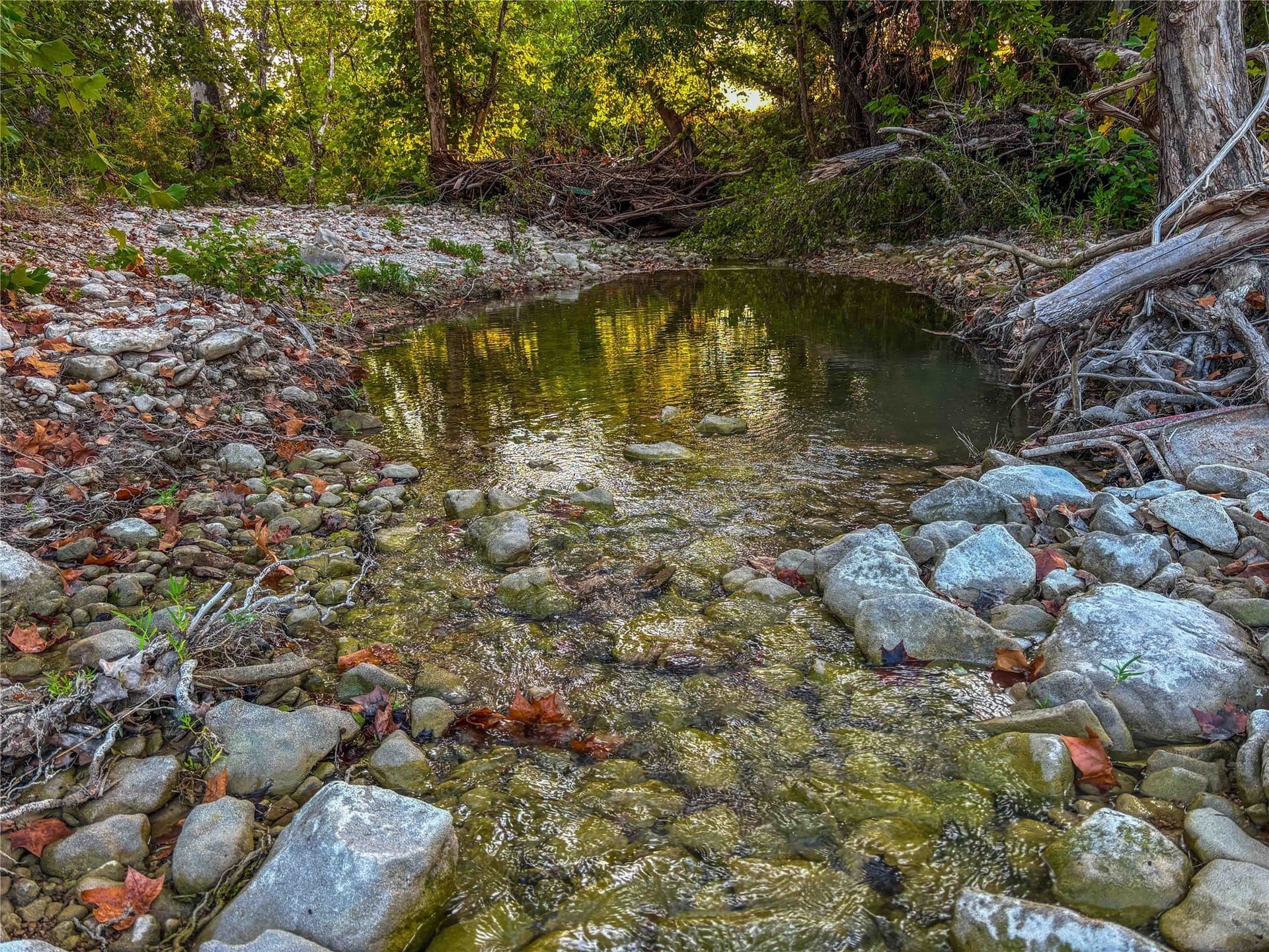 65.88 acres in Bell County - photo 18