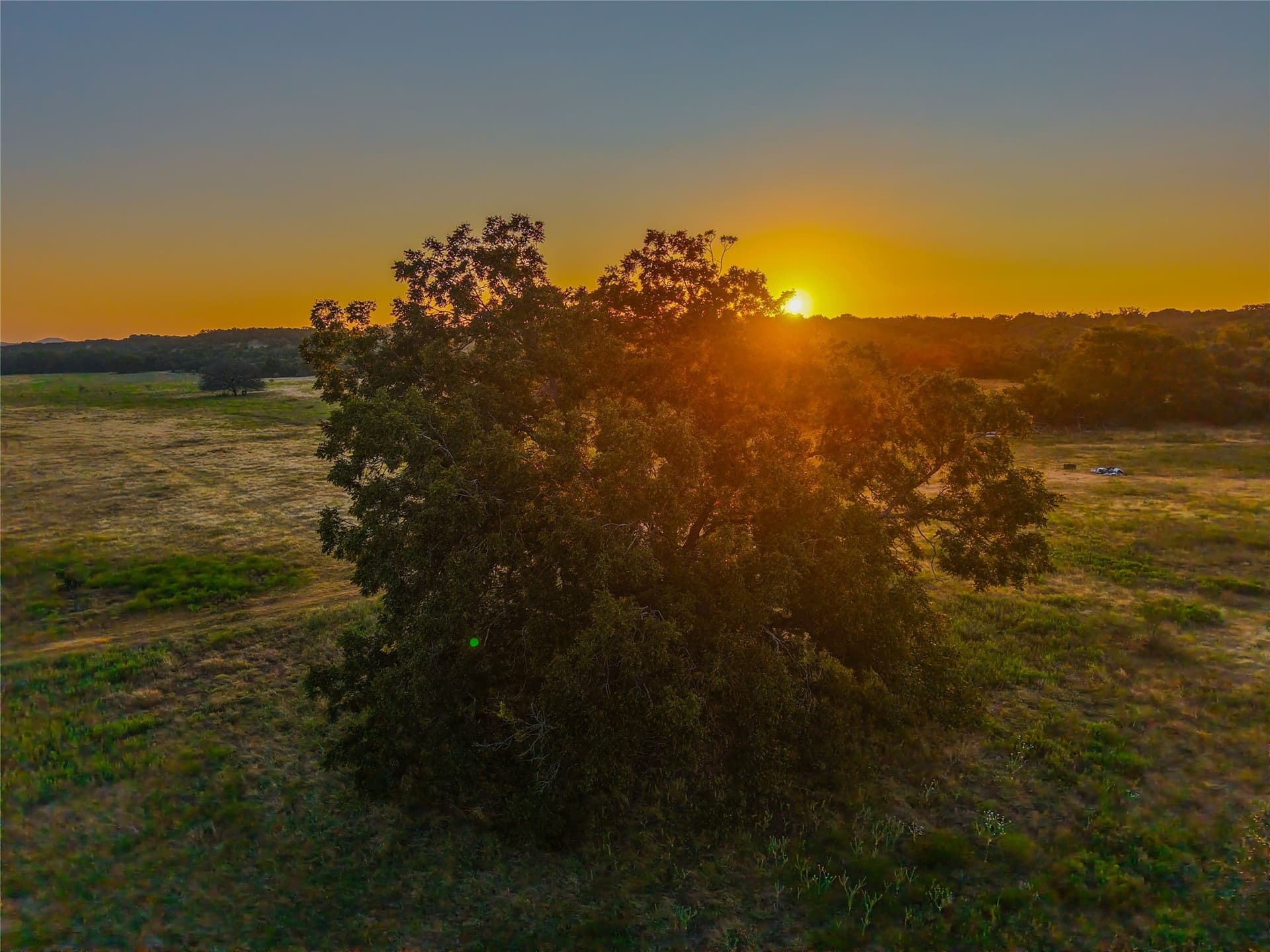 65.88 acres in Bell County - photo 12