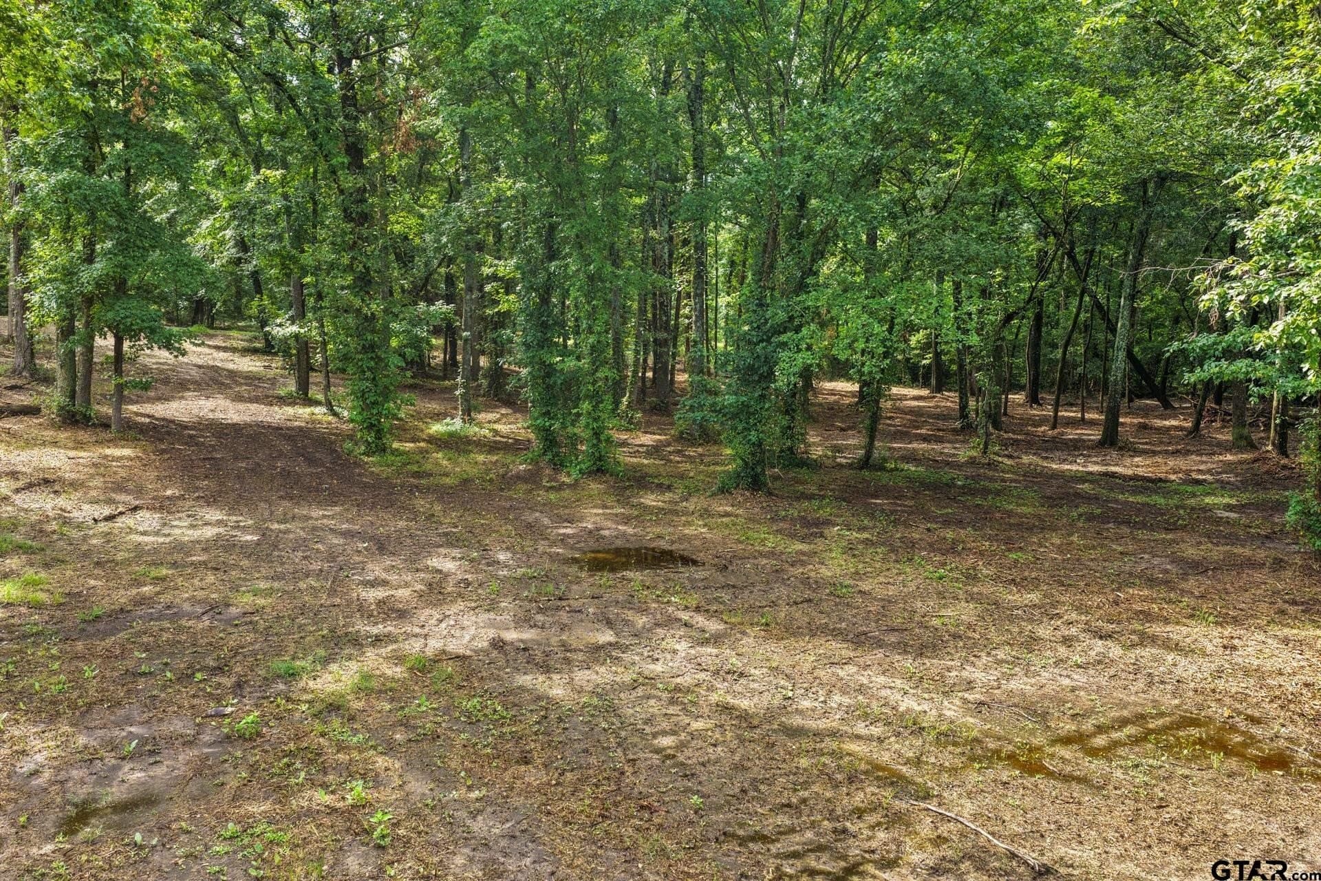2.1 acres in Franklin County - photo 13