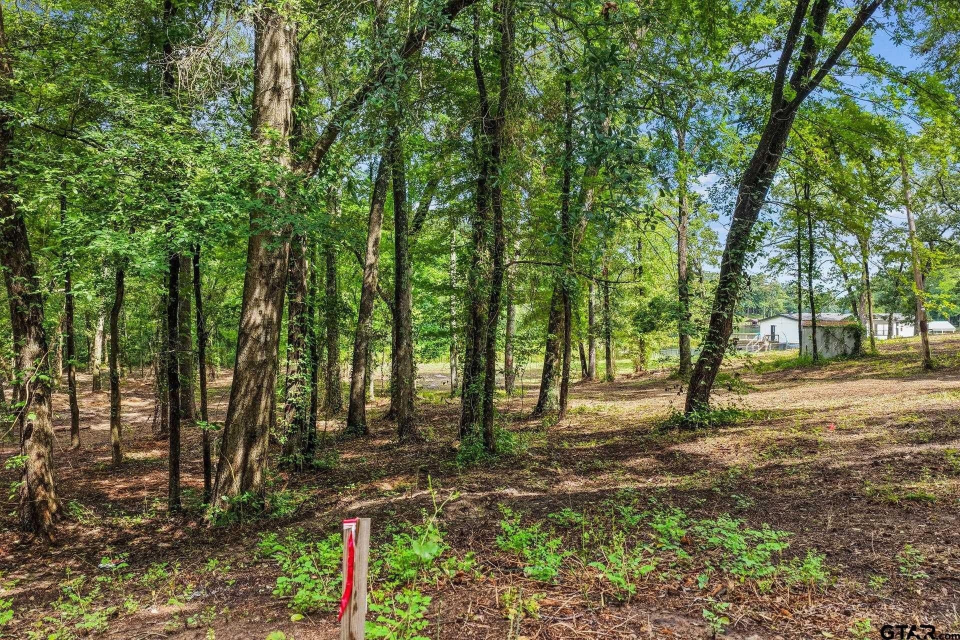 2.1 acres in Franklin County - photo 6