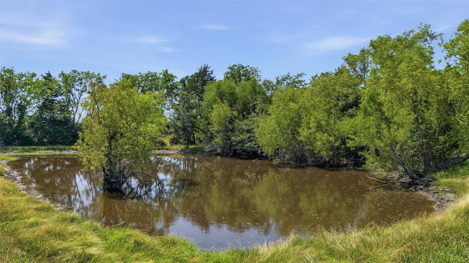 11.86 acres in Grayson County - photo 32