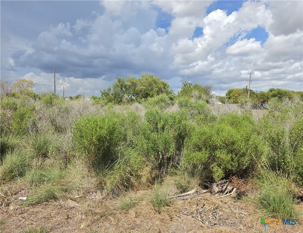 0.16 acres in Calhoun County - photo 2