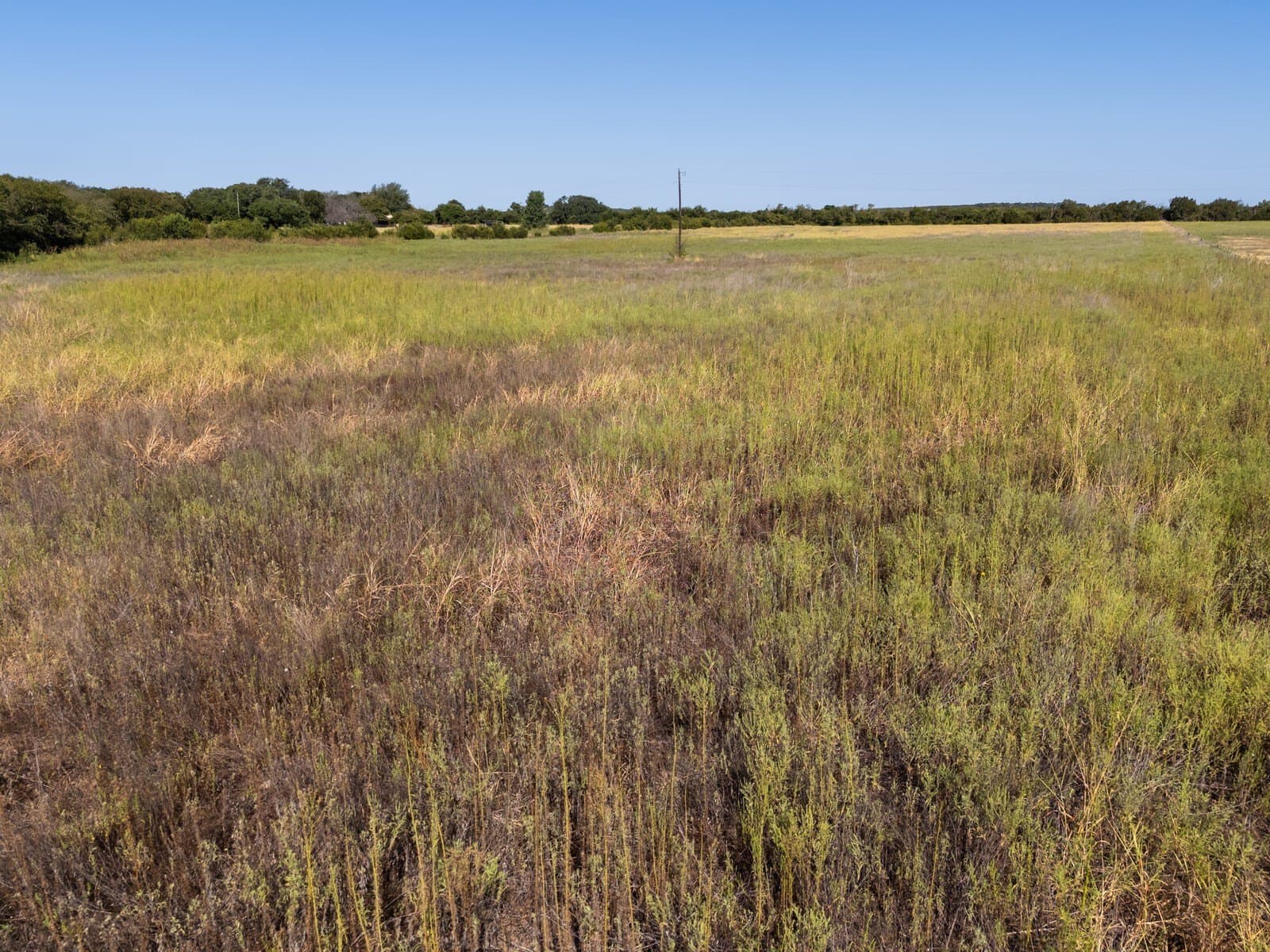 15 acres in Bosque County - photo 22