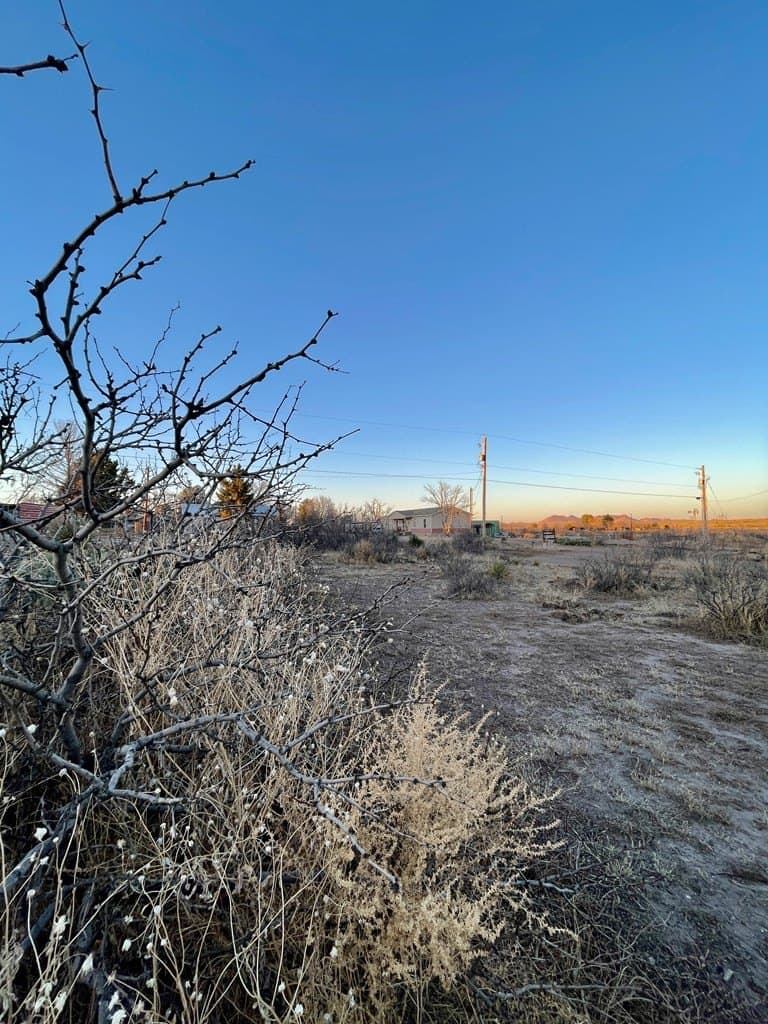0.17 acres in Presidio County gallery image 3