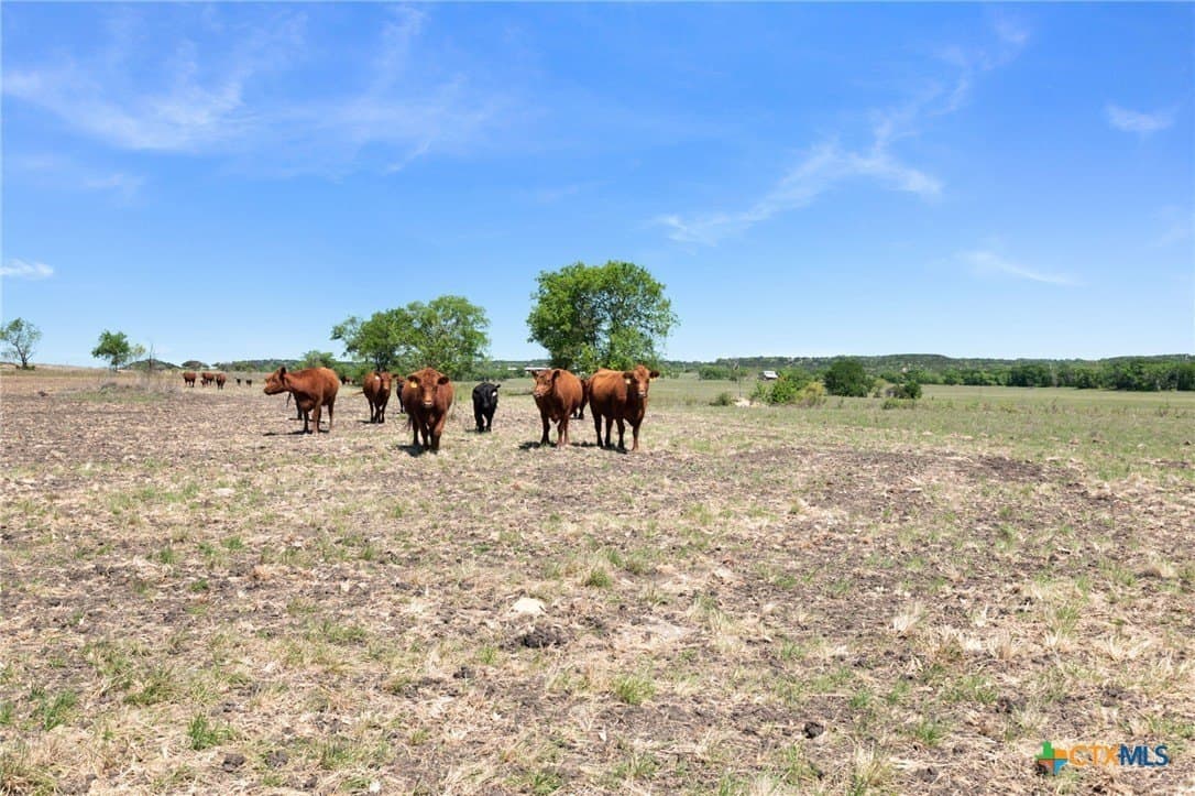 191.72 acres in Coryell County - photo 23