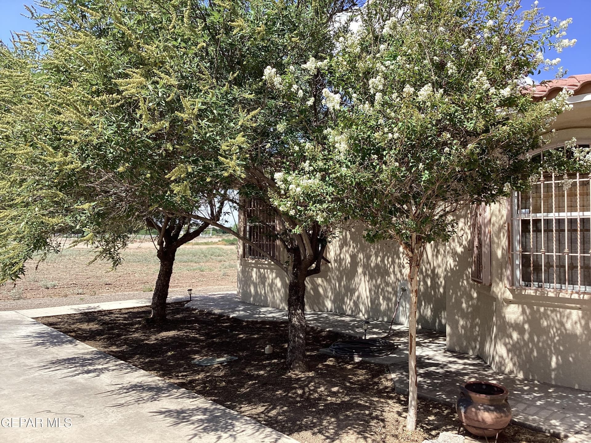 30 acres in El Paso County featured view