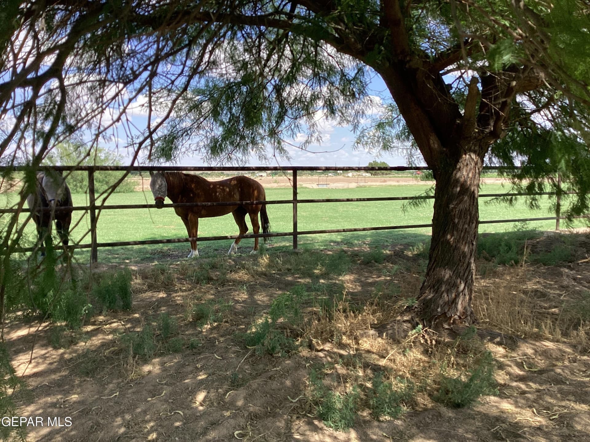30 acres in El Paso County - photo 6