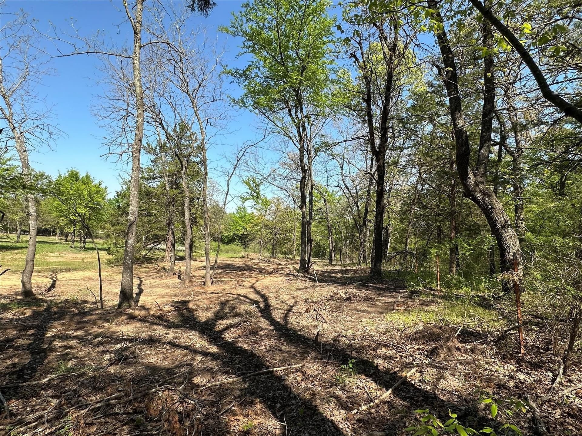 1.26 acres in Cooke County featured view