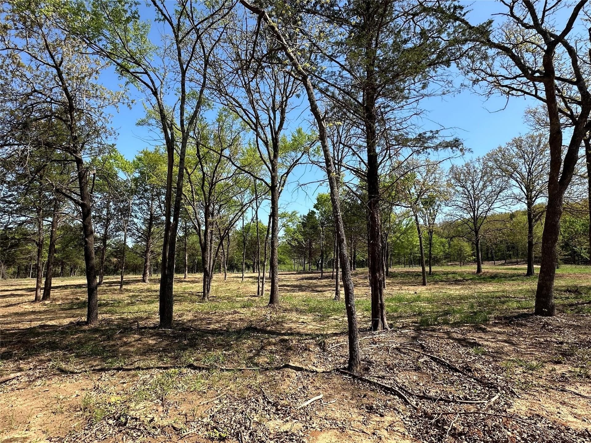 1.26 acres in Cooke County gallery image 2